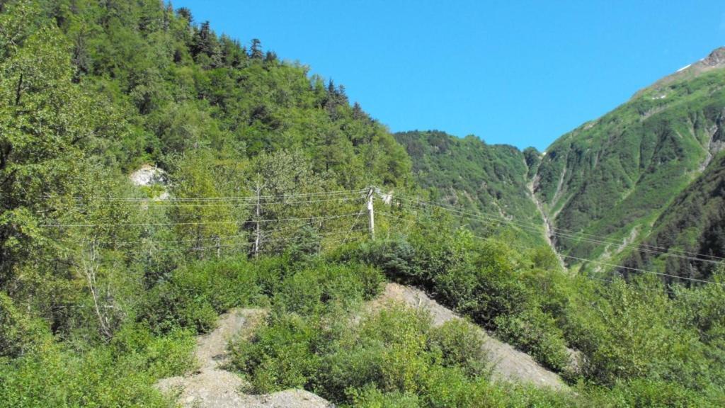 Kelli Creek Cottage - Reduced Price On Tours Джуно Екстериор снимка
