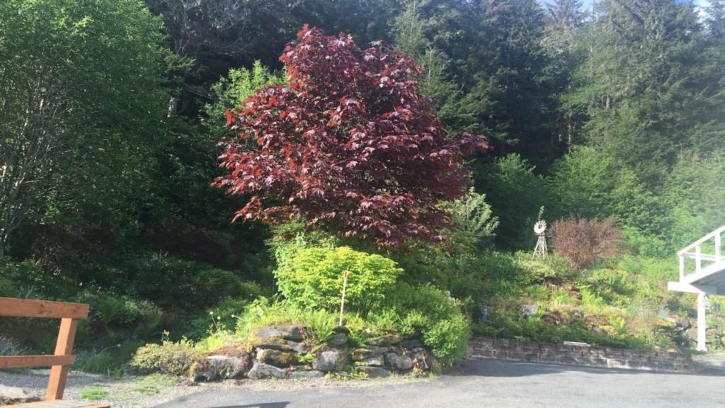 Kelli Creek Cottage - Reduced Price On Tours Джуно Екстериор снимка